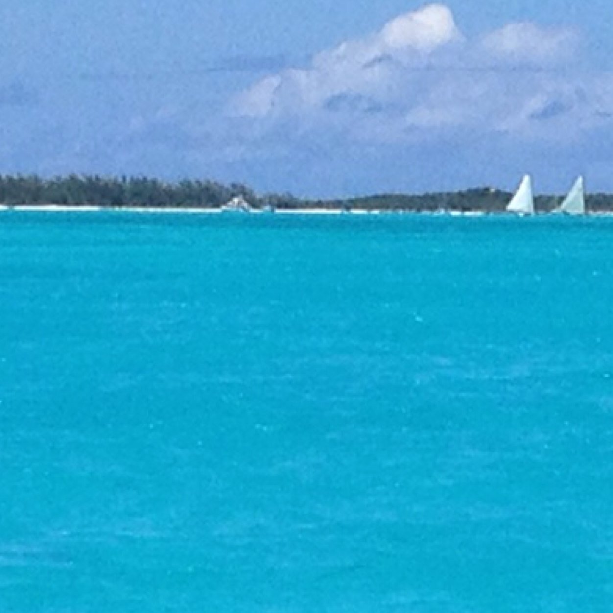 twynam63's profile picture. 