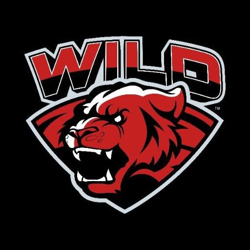 2D Graphic Designer - Designer for WiLD Gaming @WiLDGamingCOD and @WiLDGamingLLC - Thanks Ximious and Feint! - GB Accnt- TotalMiner - 5k - GT = Rival Miner