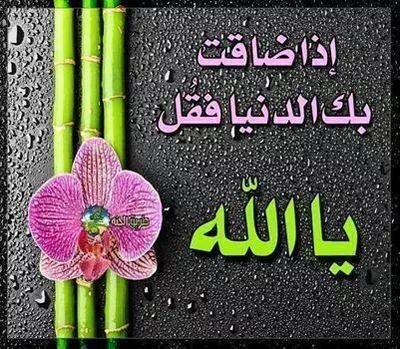 اعتذر للجميع ..مغلق نهائي