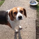 MARGO CLARK - @lmarge1 - Twitter