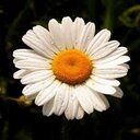 Aleja Suarez G - @15_janda - Twitter