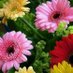الموج الازرق  (@alz558407) Twitter profile photo