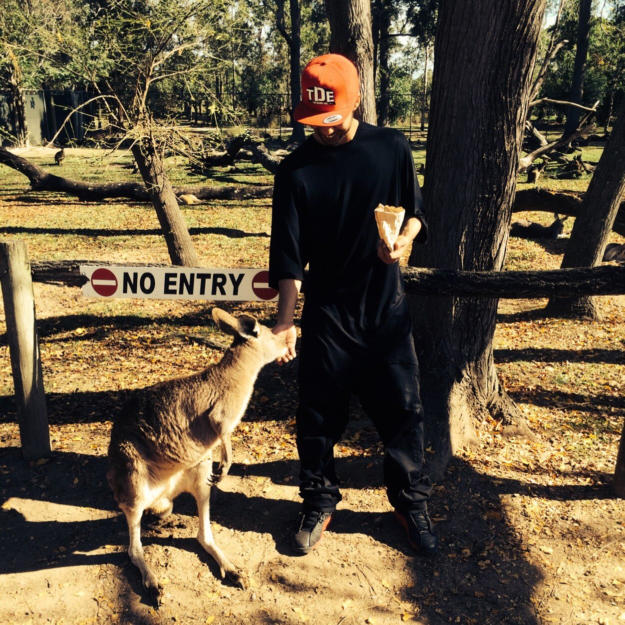 TXNETDE's profile picture. Livin my dreams