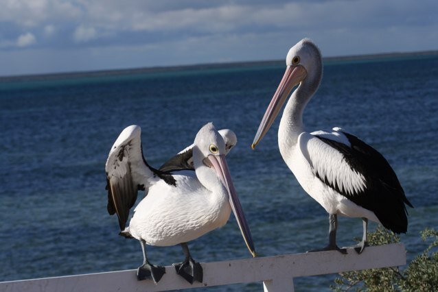 2inavan's profile picture. We travel and fish and fish and travel.  One of us fishes for stories http://t.co/6PTvlqHpRc