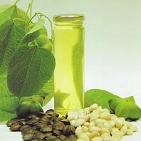 SPDYcuamandyyu's profile picture. Sacha Inchi rich Omega 3 6 and 9 mineral nutrients
Sacha Inchi are commonly called essential fatty acids as they are essential to human health