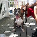 Melvin Suarez - @Pb617_ - Twitter