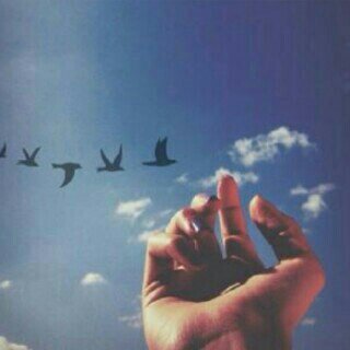 ‏‏‏‏‏‏‏سبحان الله وبحمده سبحان الله العظيم.