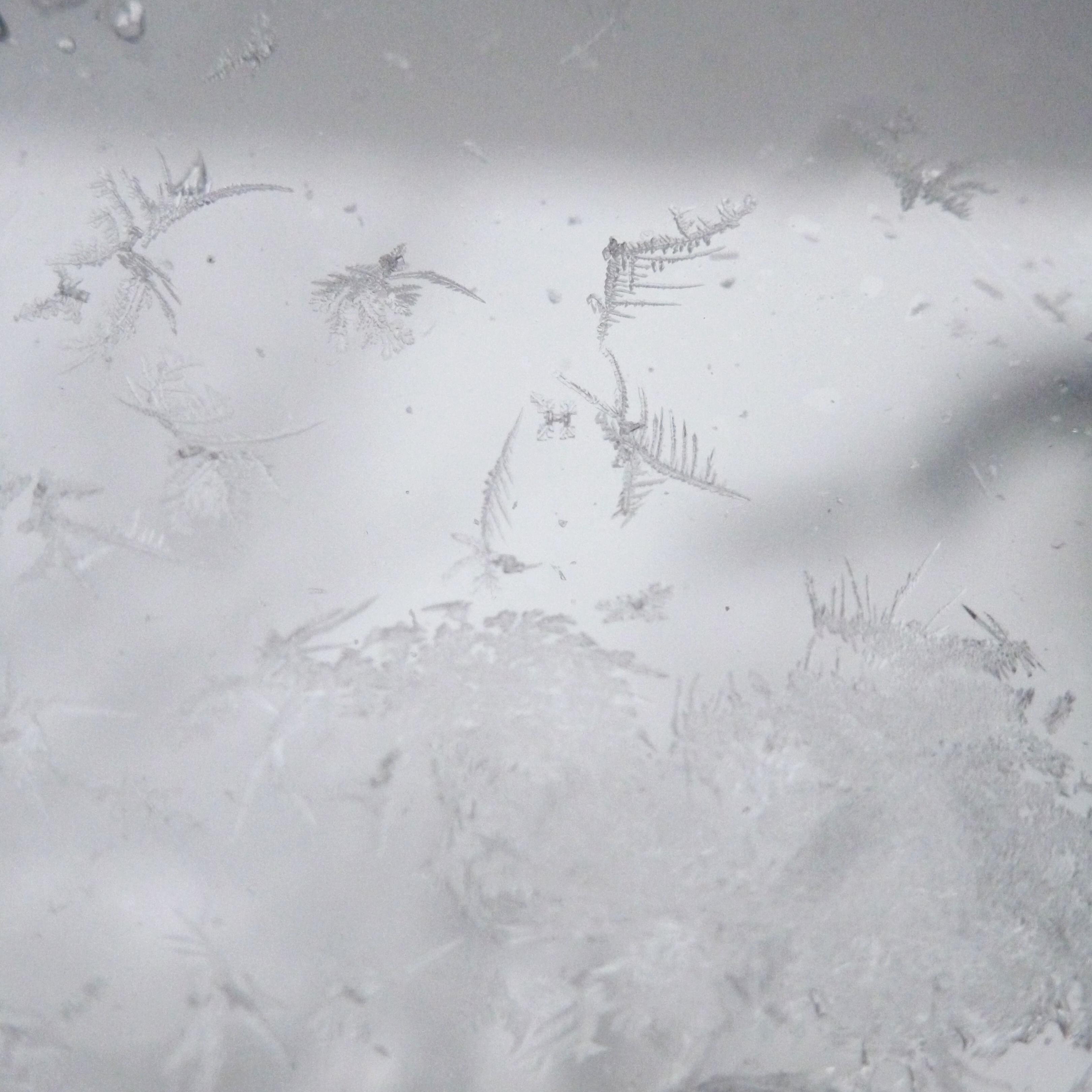 MeUnloveable's profile picture. #ProtectDemocracy  #StopTheHate 
Hitler's first coup attempt was only a practice run.