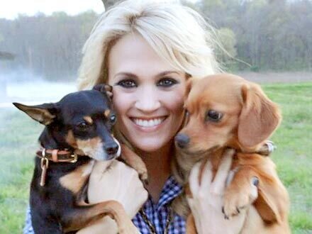 I am a huge fan of Carrie Underwood...