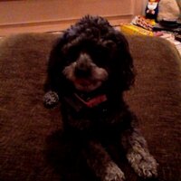 Jim Carlson (@jcbball) 's Twitter Profile