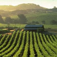 Napa Valley Insights(@Napa_Insights) 's Twitter Profile Photo