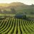 Napa_Insights