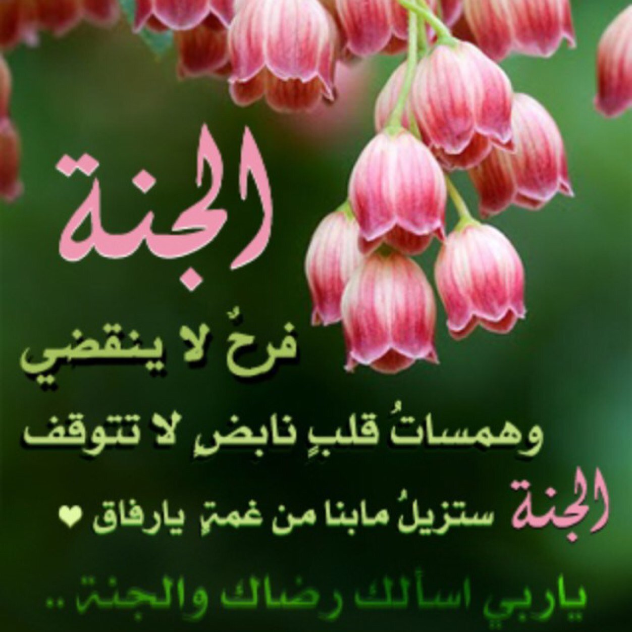 tktekert's profile picture. 