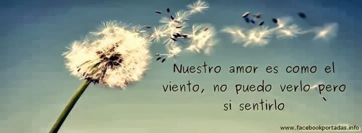 FRASES: de tu musica, típicas , poéticas , chistosas ...SGUEME Y TE SIGO