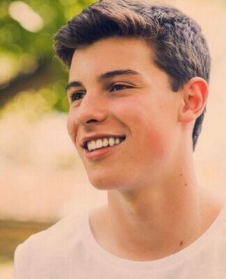 Shawn Mendes (@Shawn___Mendes) Twitter
