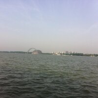 lingcheng (@lingchengden) 's Twitter Profile