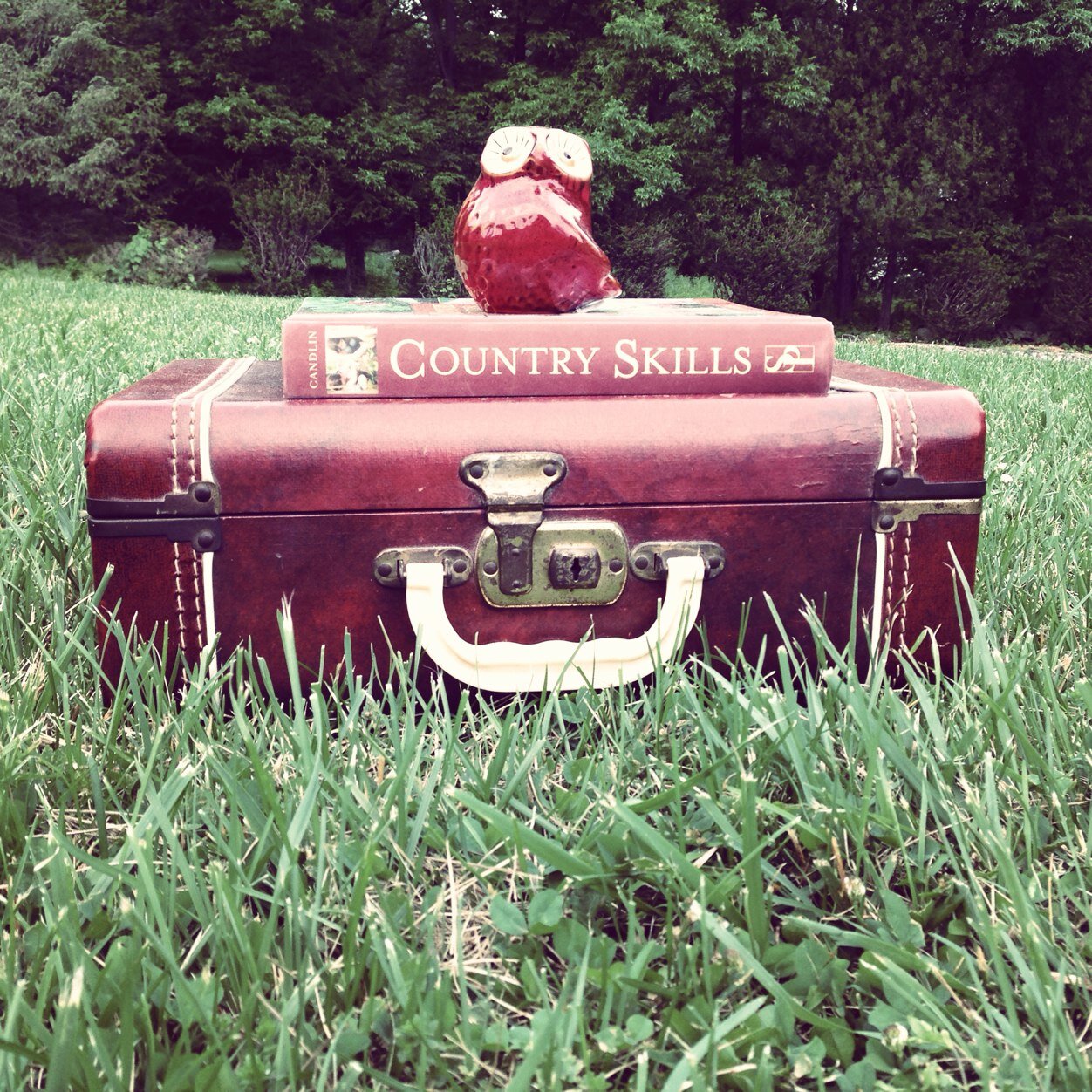 wildflowerVR's profile picture. Wildflower Vintage Rentals. Make your wedding vintage.