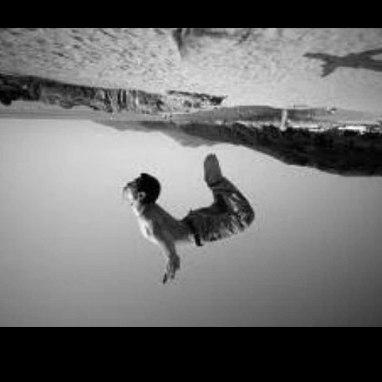 FollowTrainsM8's profile picture. 