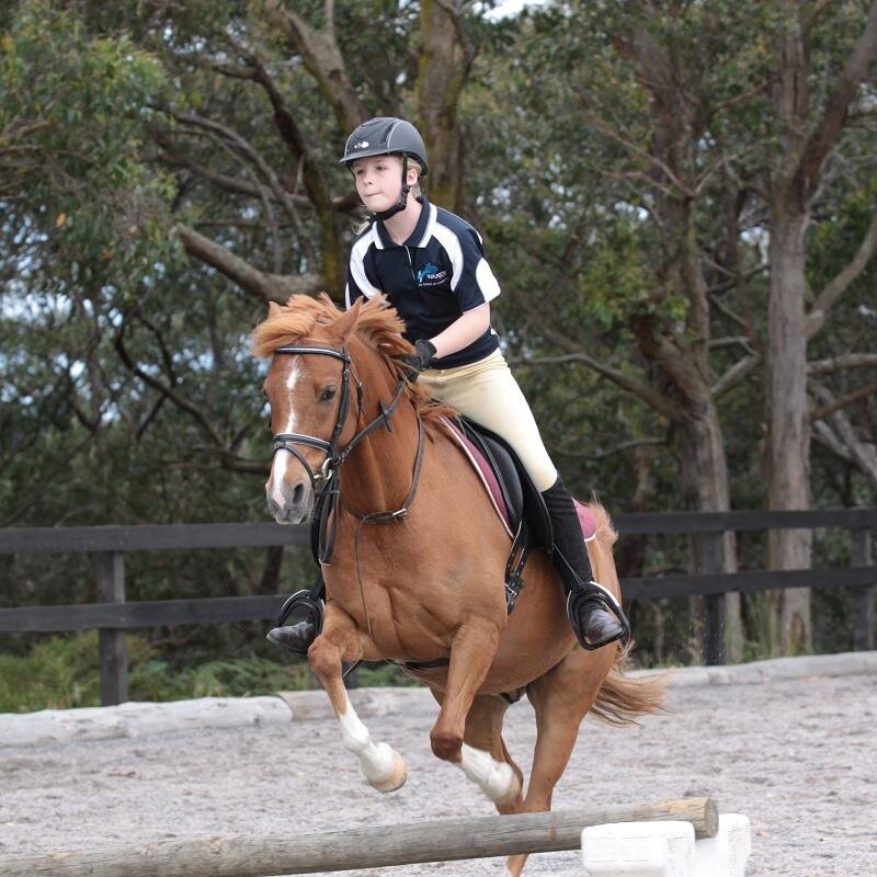 Safety Riding Stirrups