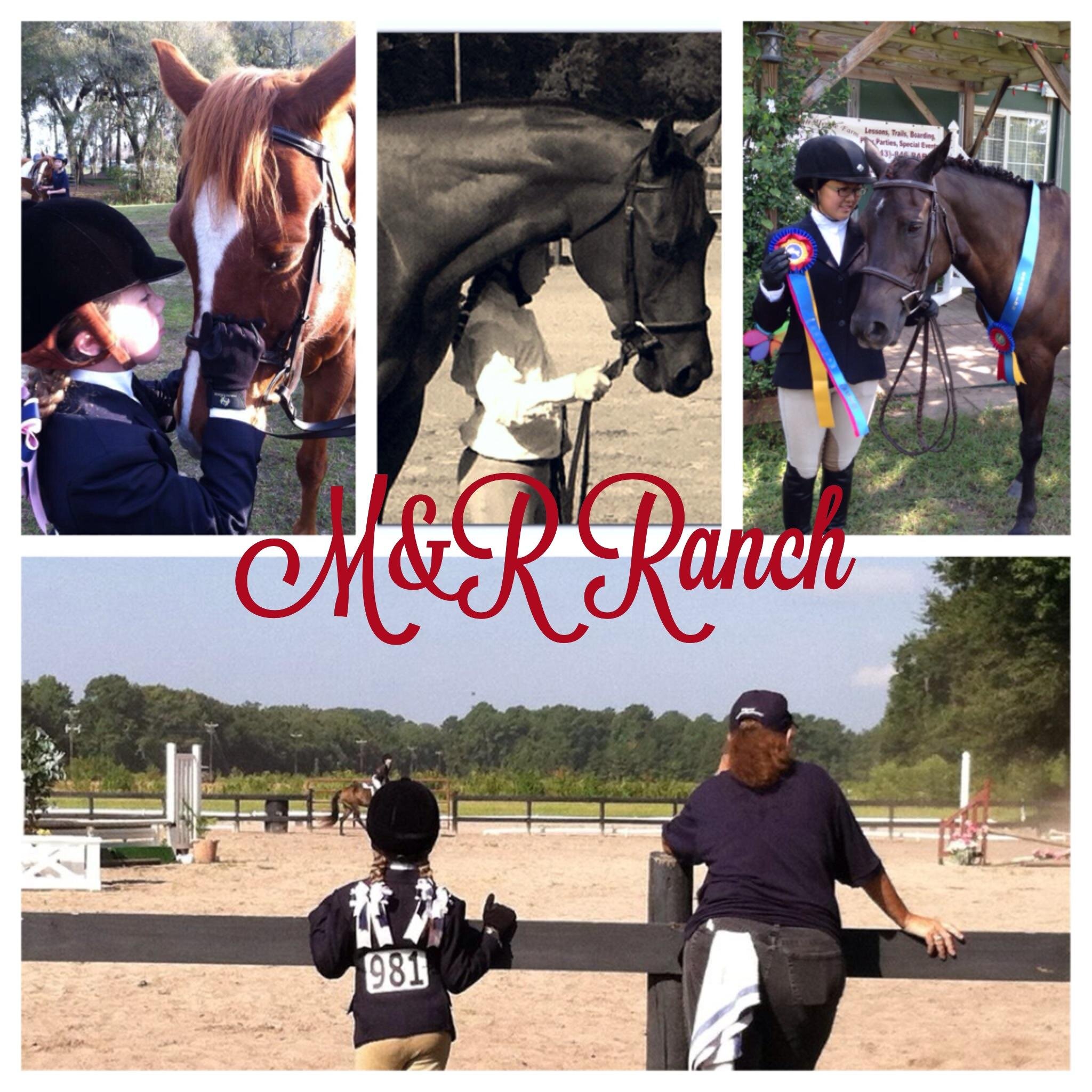 Family owned business with 40 years experience, providing lessons beginner to advanced, Western and English. We also provide Birthday Parties and Day Camp.