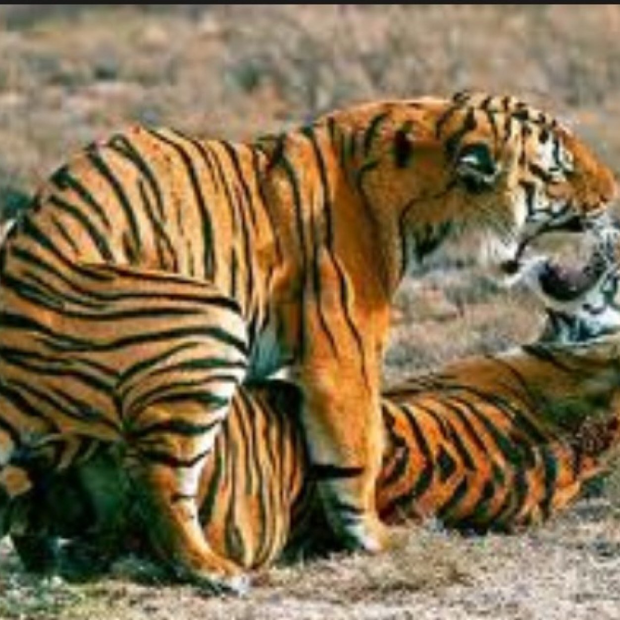 musummerhotties's profile picture. The Official MU SUMMER Secret Admirers Account. 

http://t.co/slViseohbG