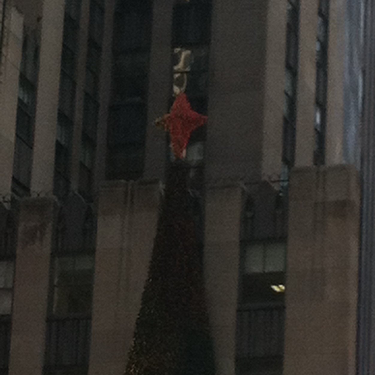 kmeyers100's profile picture. instagram whawhawhawhadidyasay kik daniel meyers snapchat daniel vine daniel meyers