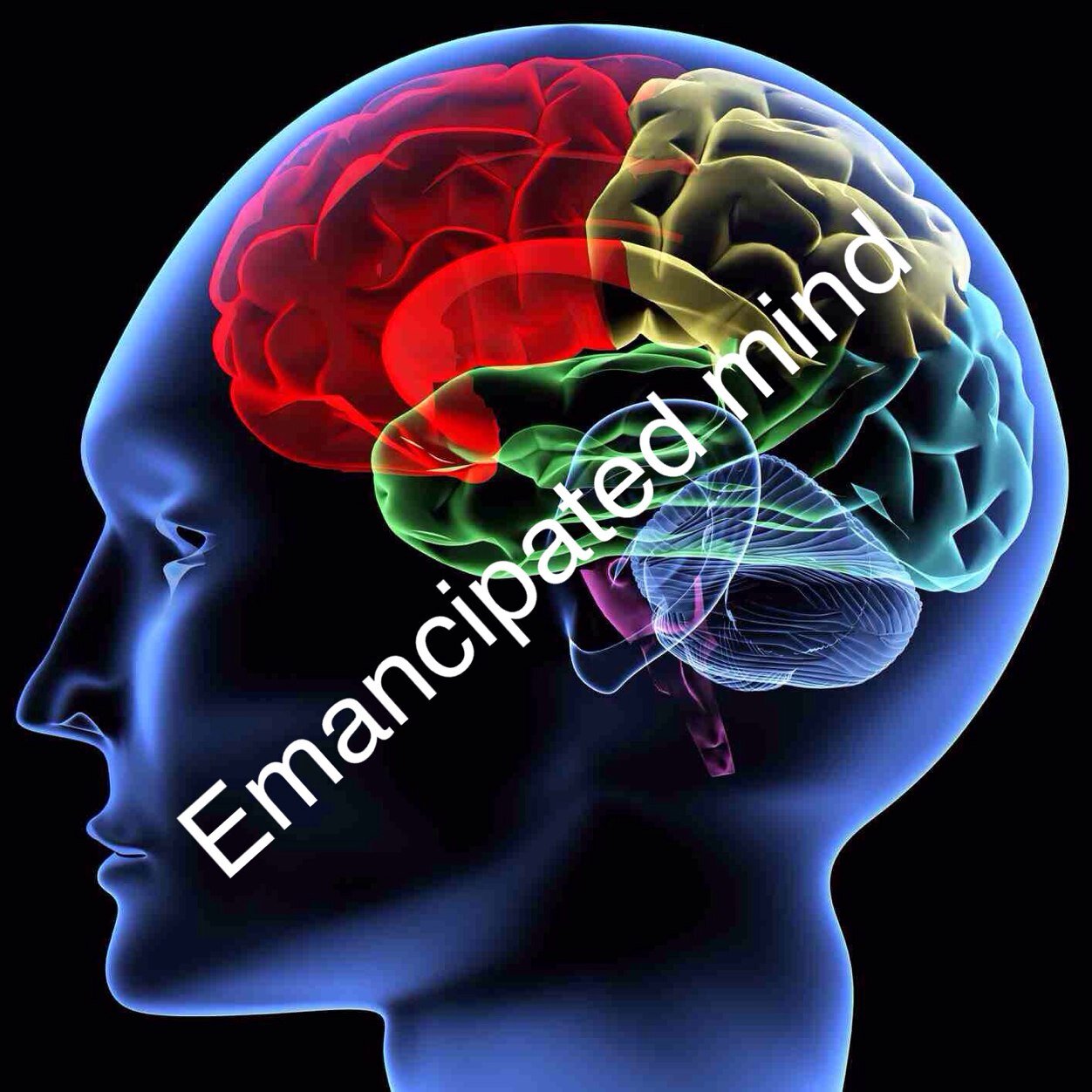 Toronto based online magazine. Focused on holistic living and social change. Emancipate Your Mind!
