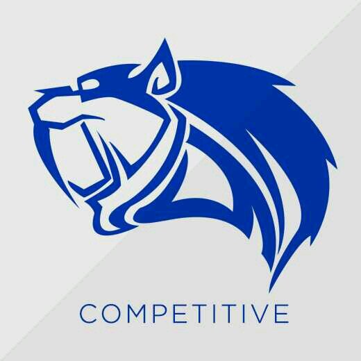 17 year old Competitive CoD Player. Role- support/slayer. Follow @TheSaberComp and @SaberVino. Need 2 more players