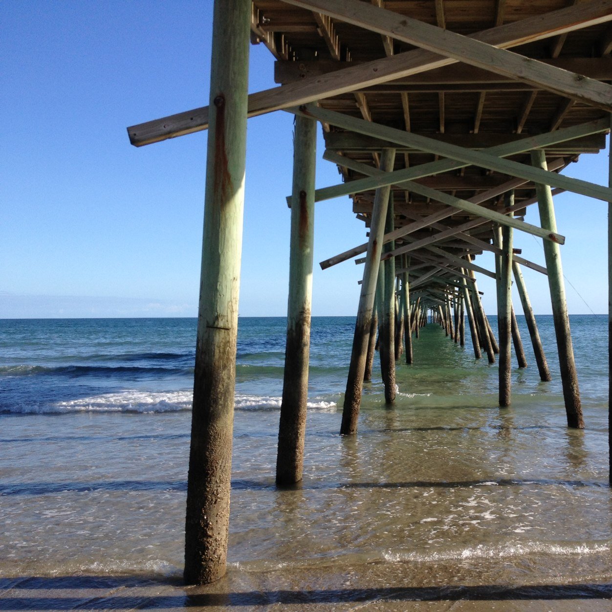 auntruthie5's profile picture. 