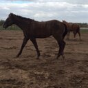 Earl Nation - @NationEarl - Twitter