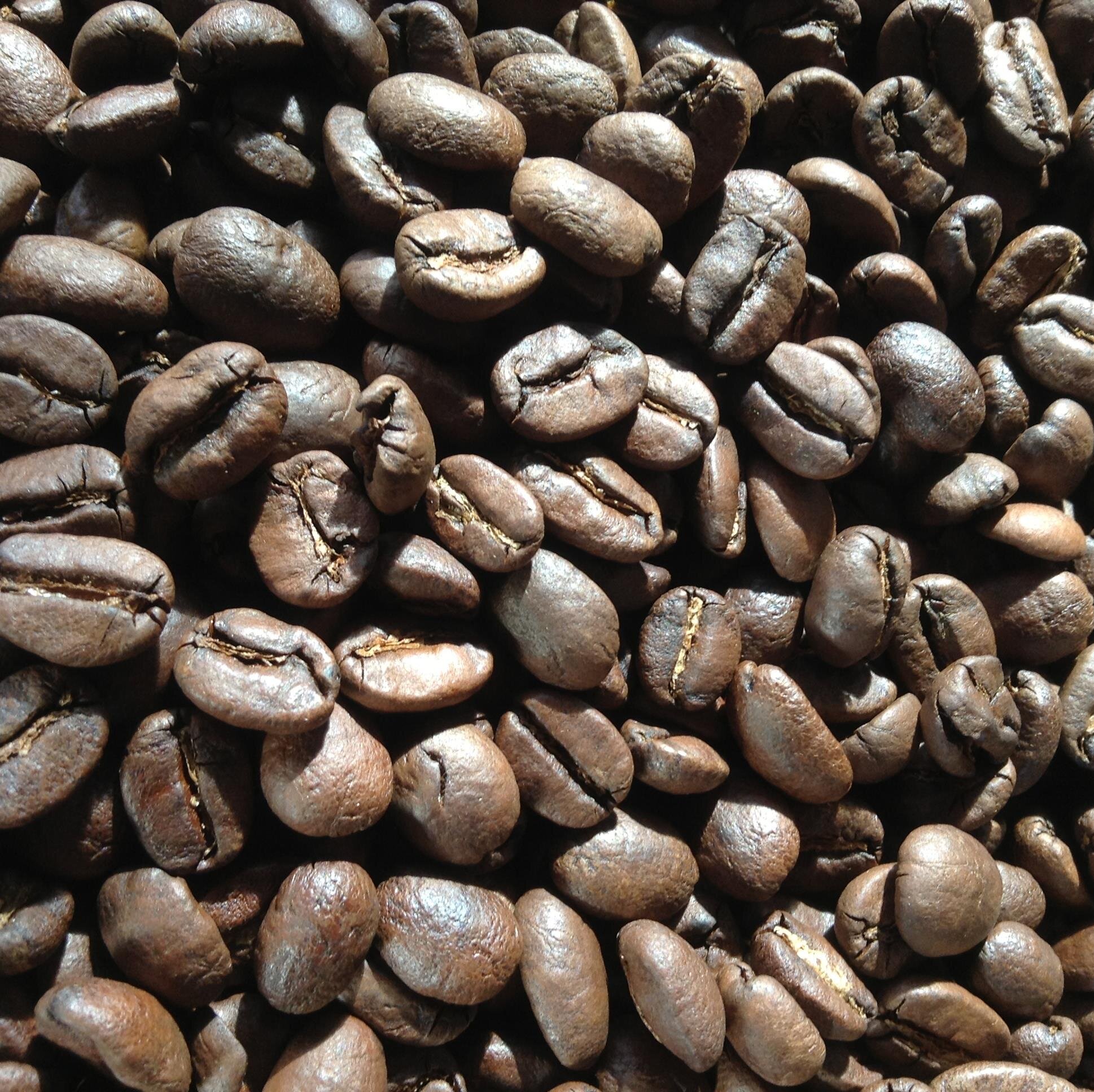 go2barista's profile picture. 