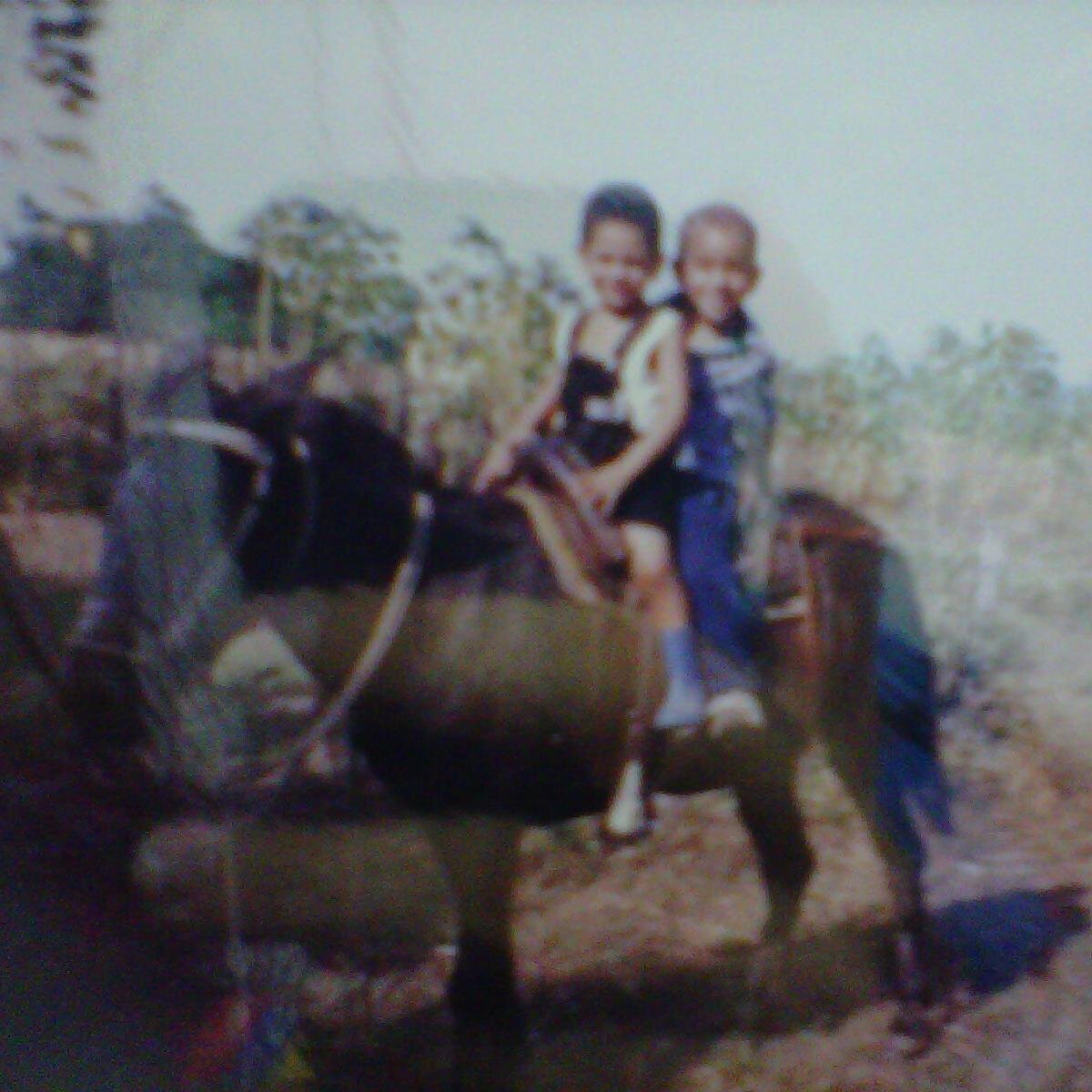 romi_93's profile picture. Barcelonista al 1000% aprendiendo cada dia mas!