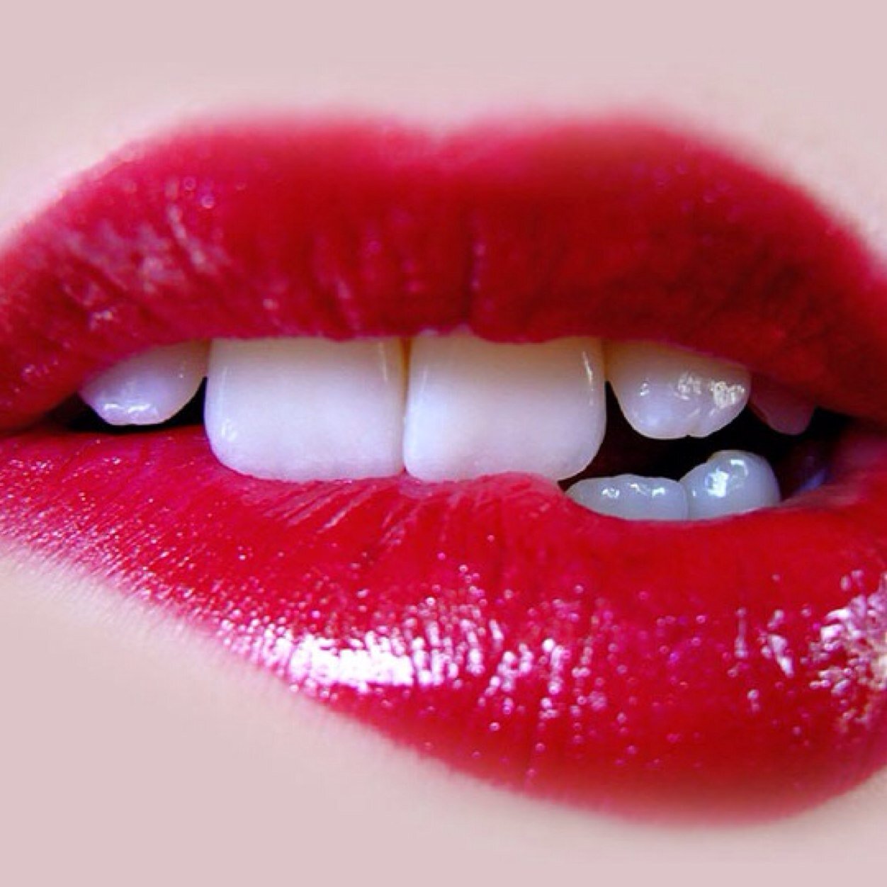 sonjaumag's profile picture. 