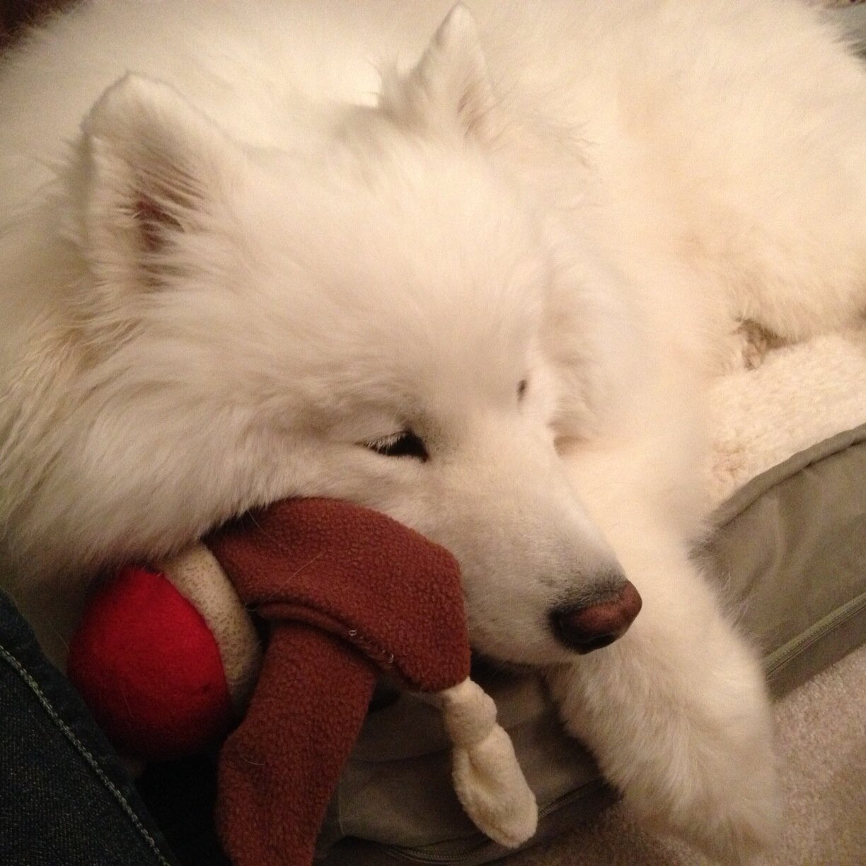 JaegerDr's profile picture. Physician; Gardener; Walker of the world; Lover of family, friends and poetry