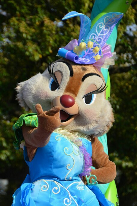 kayokayo1611's profile picture. ディズニーとアニメ大好きです！ショーパレグリ派の両単持ち、イン友さんが切実に欲しい(º﹃º )多忙につき、ほぼツイートしてません( º﹏º｡ )