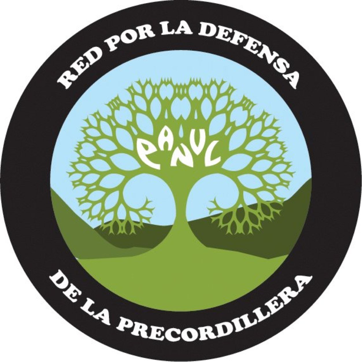 El Panul es el último bosque nativo urbano de Santiago. Amenazado por proyectos inmobiliarios, pretendemos convertirlo en un gran Parque Comunitario.