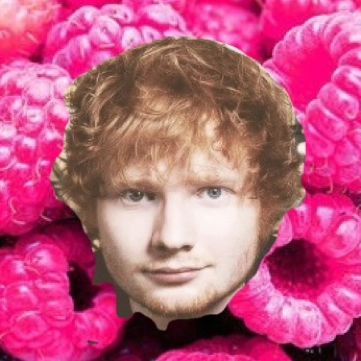 Sheerio since 2011// other acc : ed_sheeran_meow. ♡ ♡ ♡♡ ♡ ♡♡ ♡
