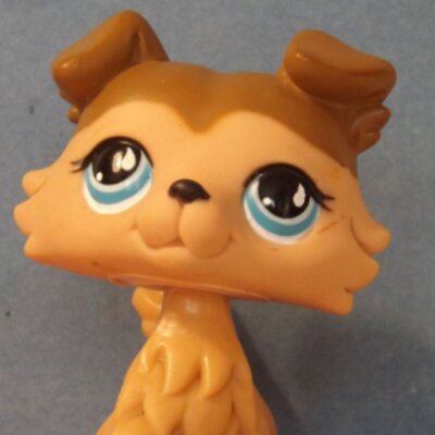 lps lover78 (@KameiWhite) / Posts / X
