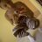 Katerine_Colon's profile image