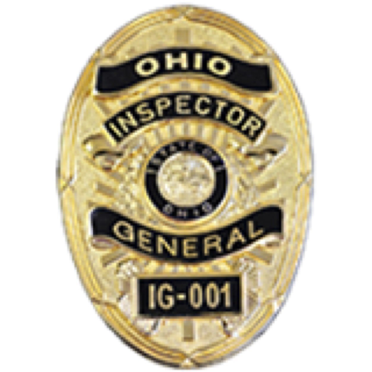 The Office of the Inspector General of Buckeye Boys State 2014!
We're watching.