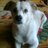 sandra_742's profile image