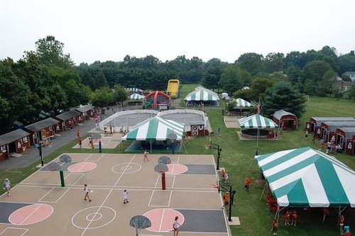 sesamerockwood's profile picture. 