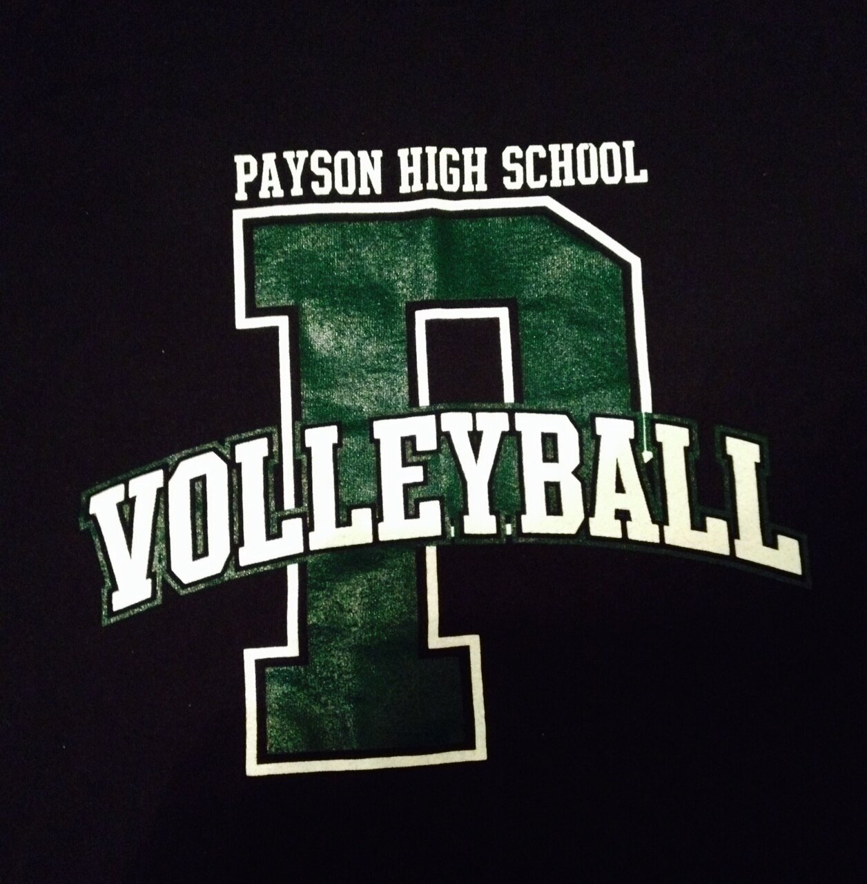 Payson Lions Volleyball