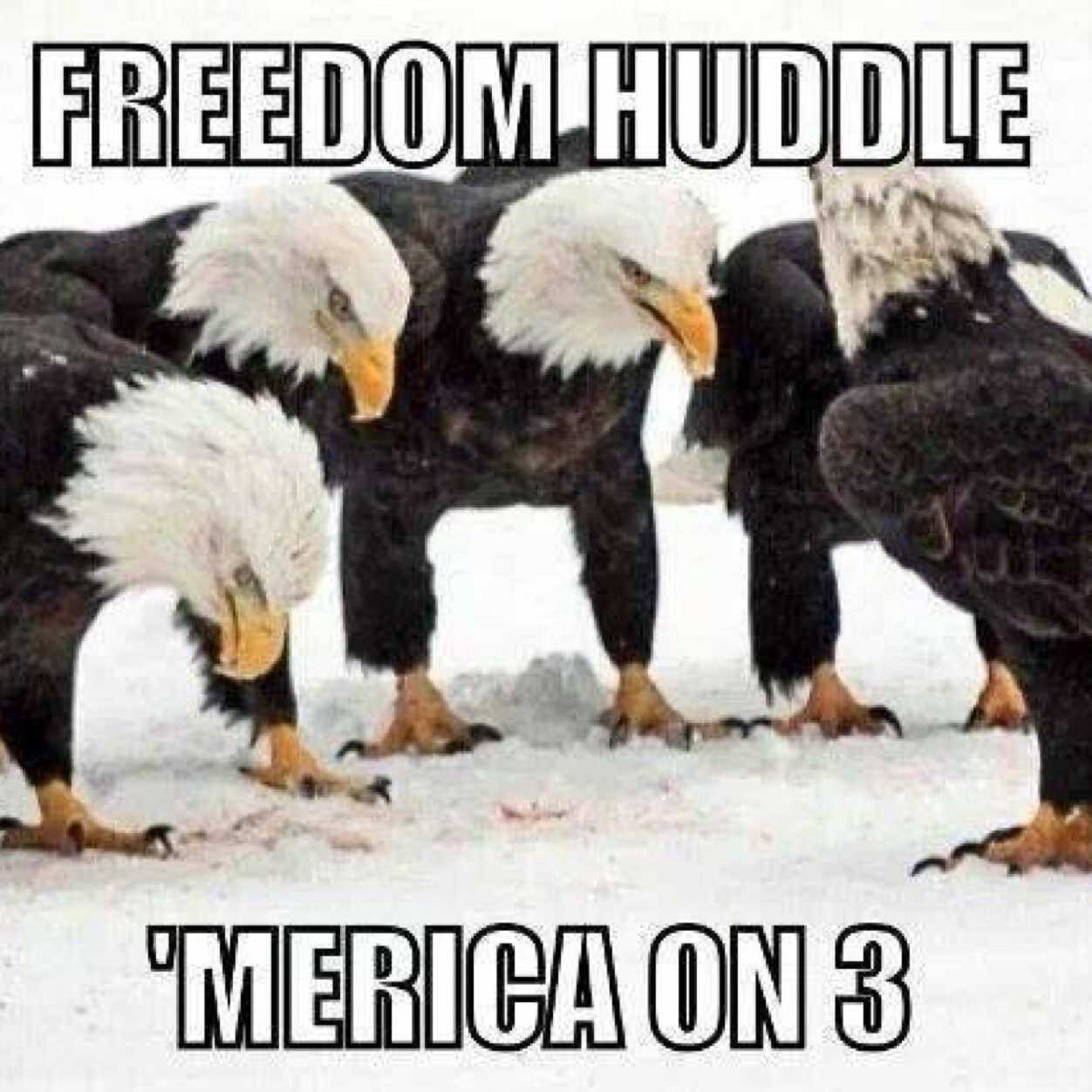 roggie56's profile picture. 