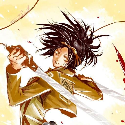 14th commander of the scouting legion. @Pristine_Cravat is my darling clean freak {snk rp mv }