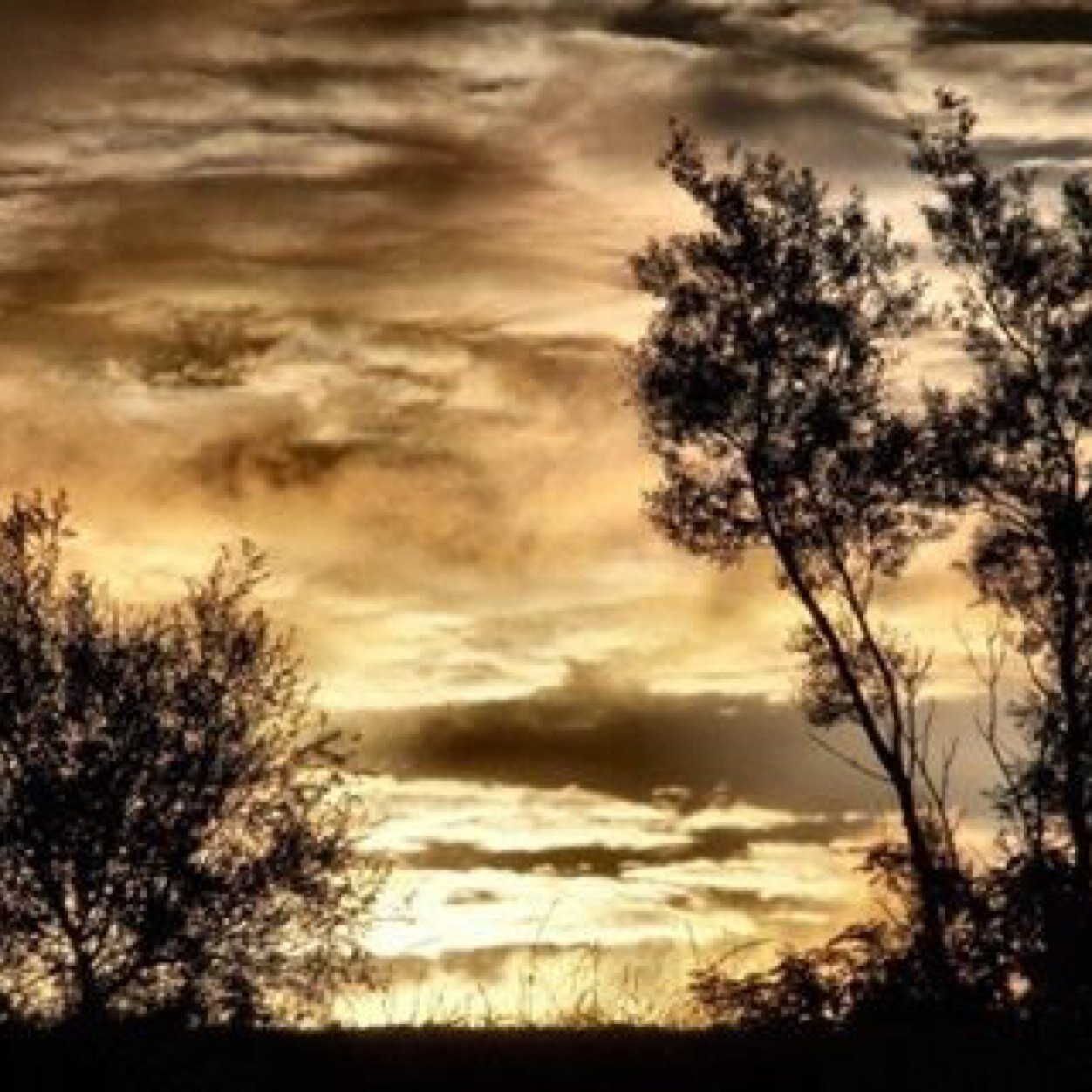 LivinNLuvnLifee's profile picture. 