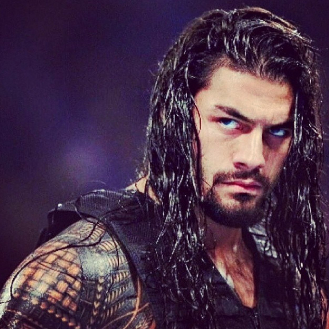 theshieldremain's profile picture. The greatest faction in WWE history.