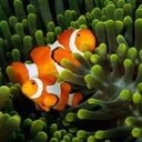 Jaclyn Dyer - @JaclynDyer55 - Twitter