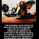 Jose Roberto limas - @limas1114 - Twitter