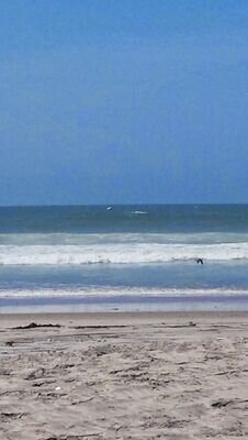 antonhytranspor's profile picture. 